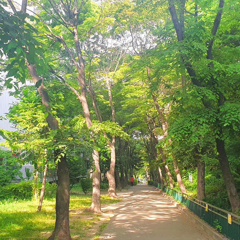 메인비주얼04